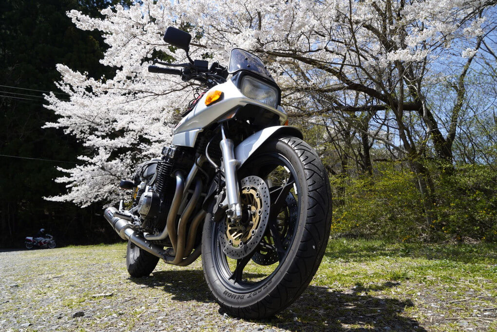 『花見ツーリング』ぴーさん