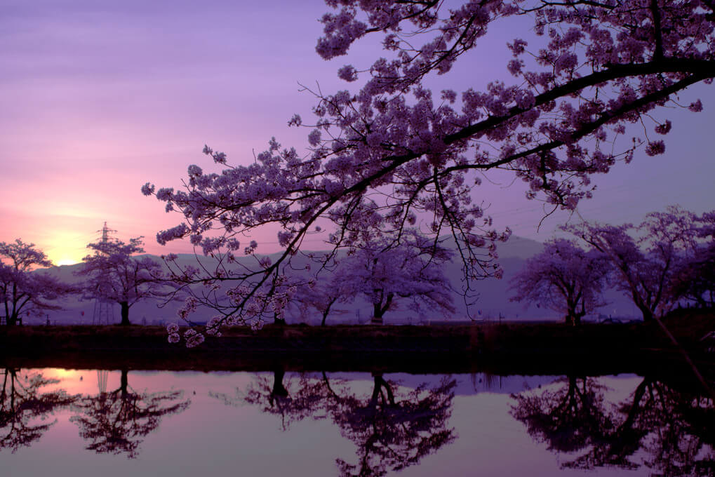 『朝陽が昇る瞬間』covaさん