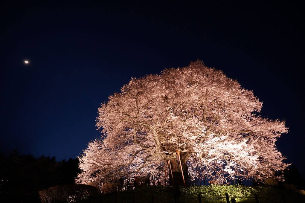 『悠久の時に想い巡らせて』Cloudさん