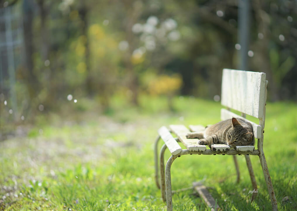 『ラストシーン*』pyhäさん