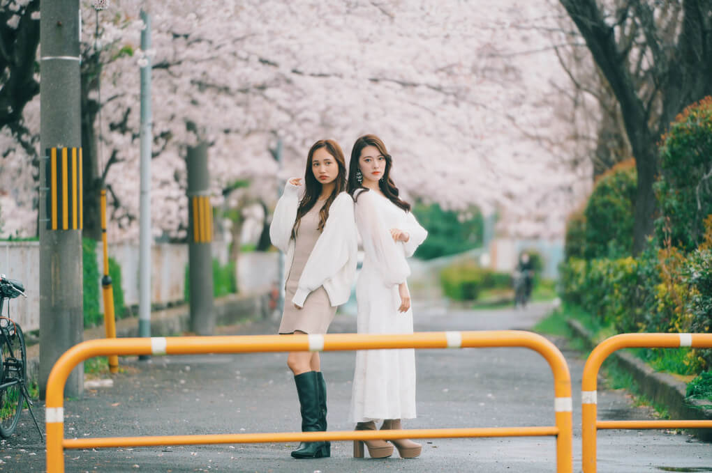 『桜の頃』taruphotoさん