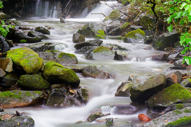 『涼を求めて_信州路』りゅうたんさん