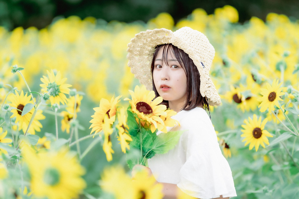 『ひまわり畑で恋をした』よーへいさん