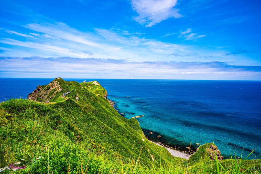 『神威岬』まつりさん