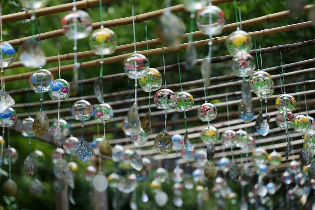 『涼しい音色に誘われて』写遊人さん