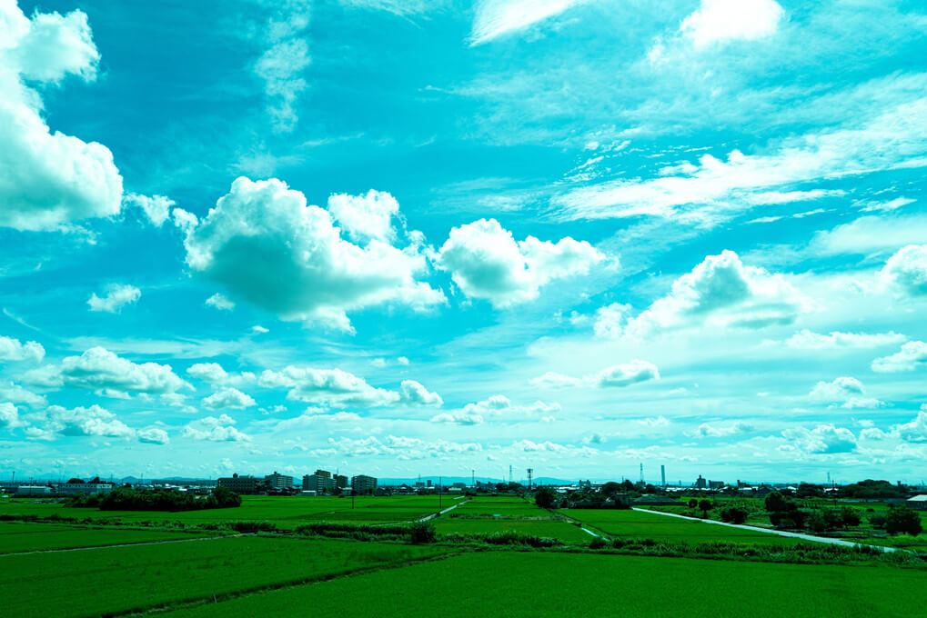 『車窓より　夏の雲』seijiさんさん
