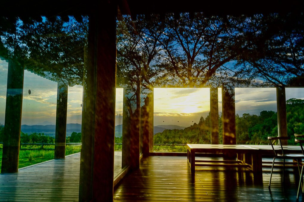 『夕照』チャリダーさんさん