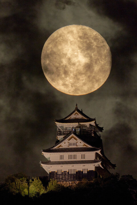 『岐阜城と月』tennisguyさんさん