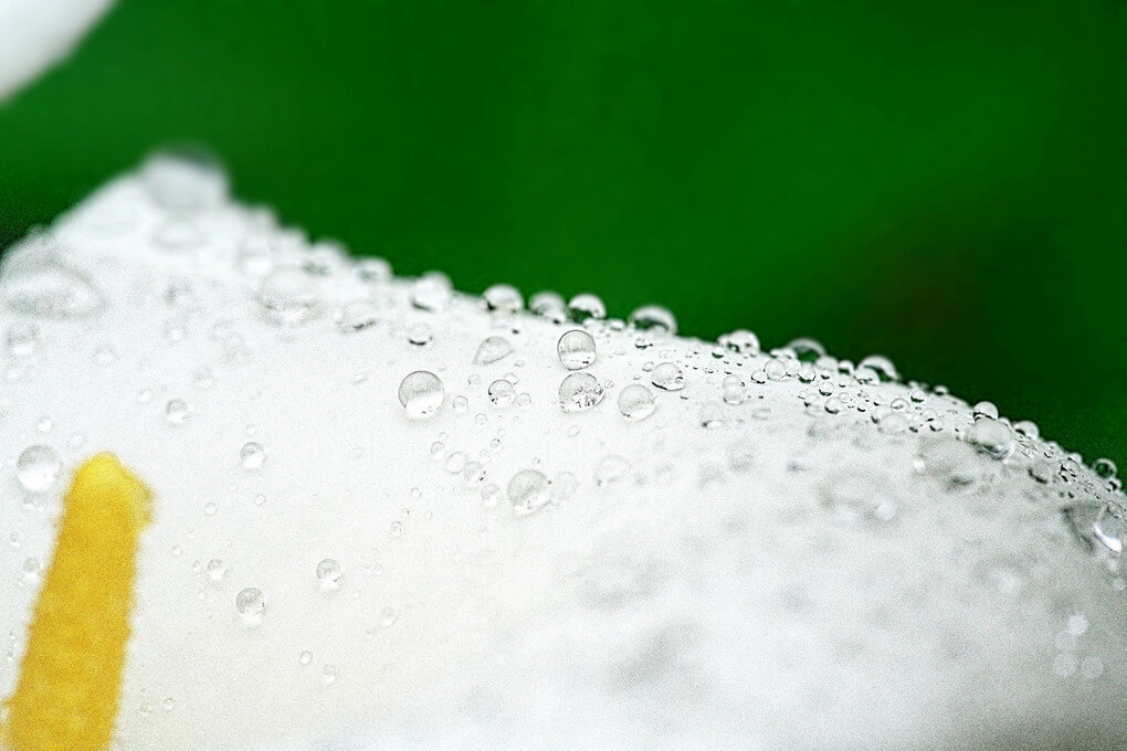 『雫』和音さん