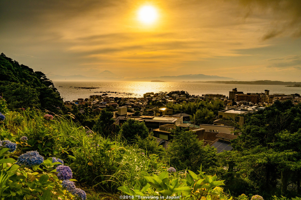 『紫陽花公園から望む相模湾』traveling_in_jさん