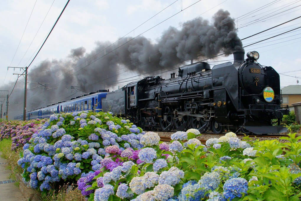 『紫陽花を 車窓に映し 水上へ』Ｄ５１３３８さん