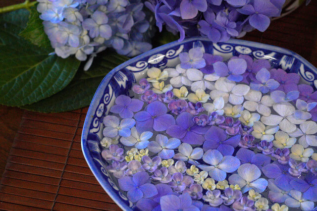 『紫陽花で花手水　（真似っこしてみました）　(＾＾)ｂ』チョコさん