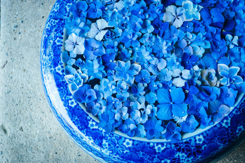 『初夏の青』asahiさん