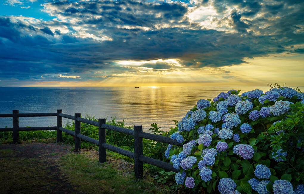 『季節の狭間で』JOYさん