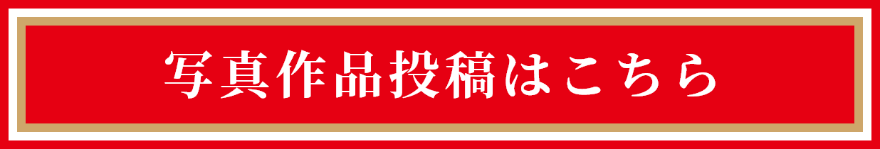 写真作品投稿はこちら