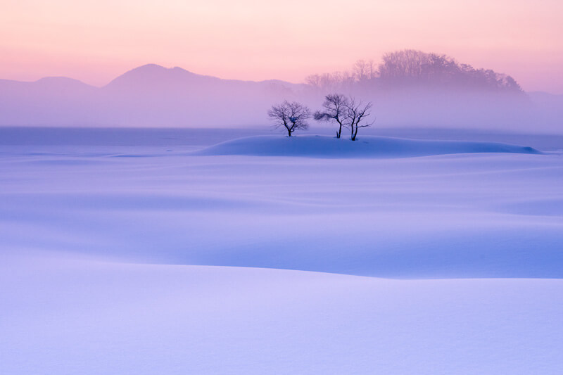 『湖上朝景』いせとりさん