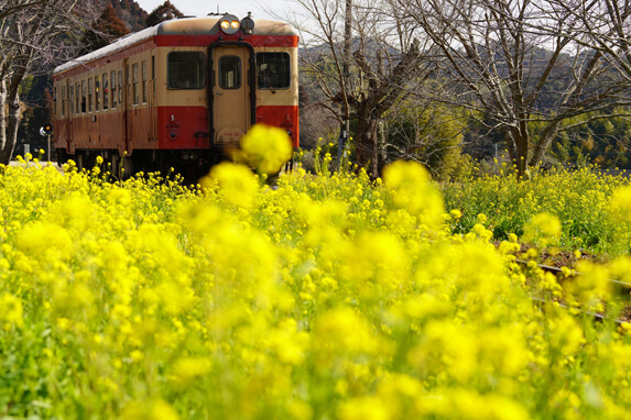 『春の足音を聴きながら
』VIDEO
さん