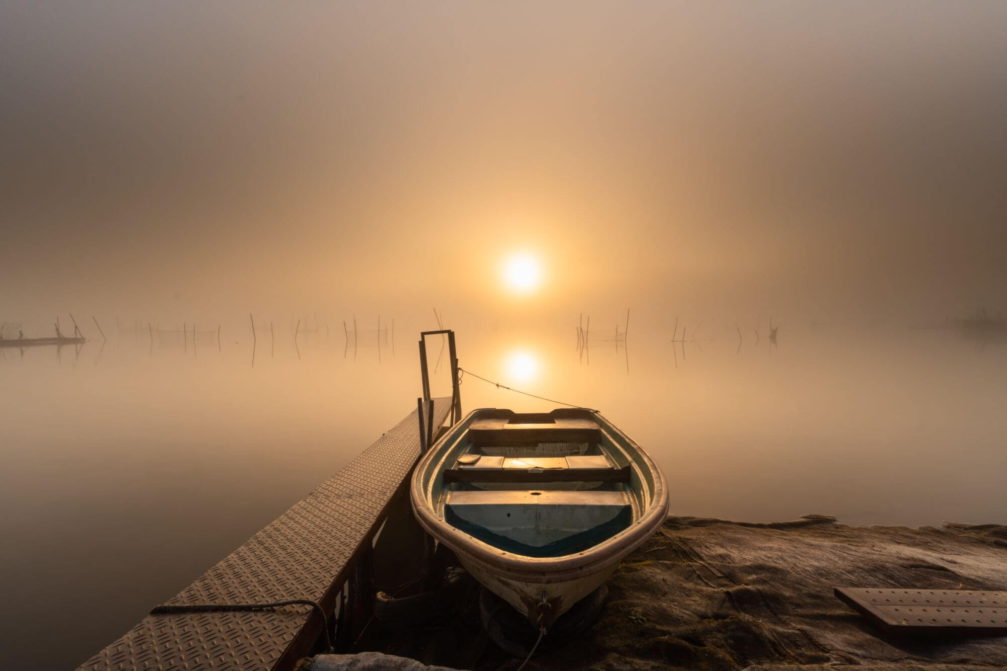 『朝霧と日の出』ひなさん