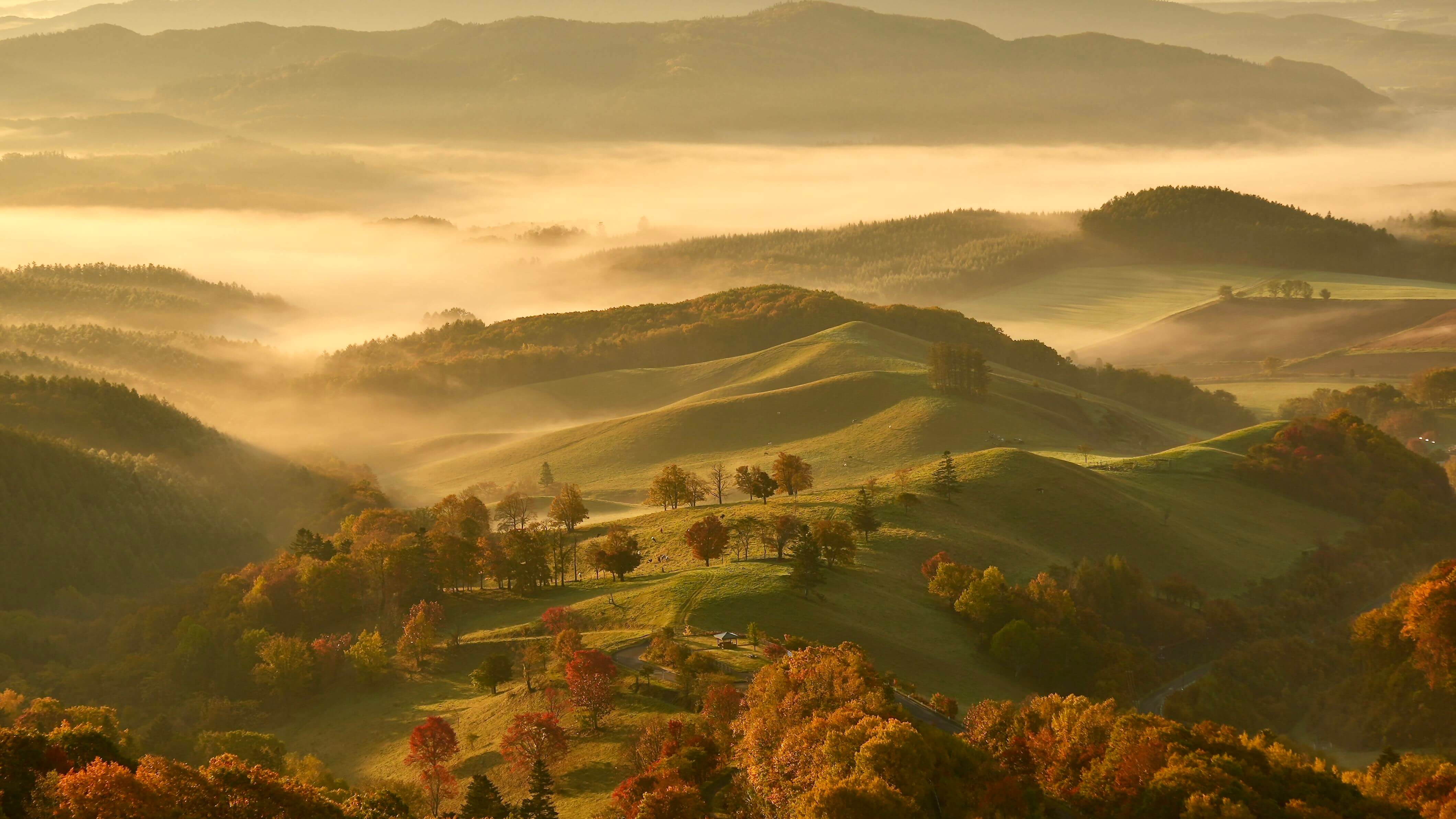 『牧場の朝』sakuraさん