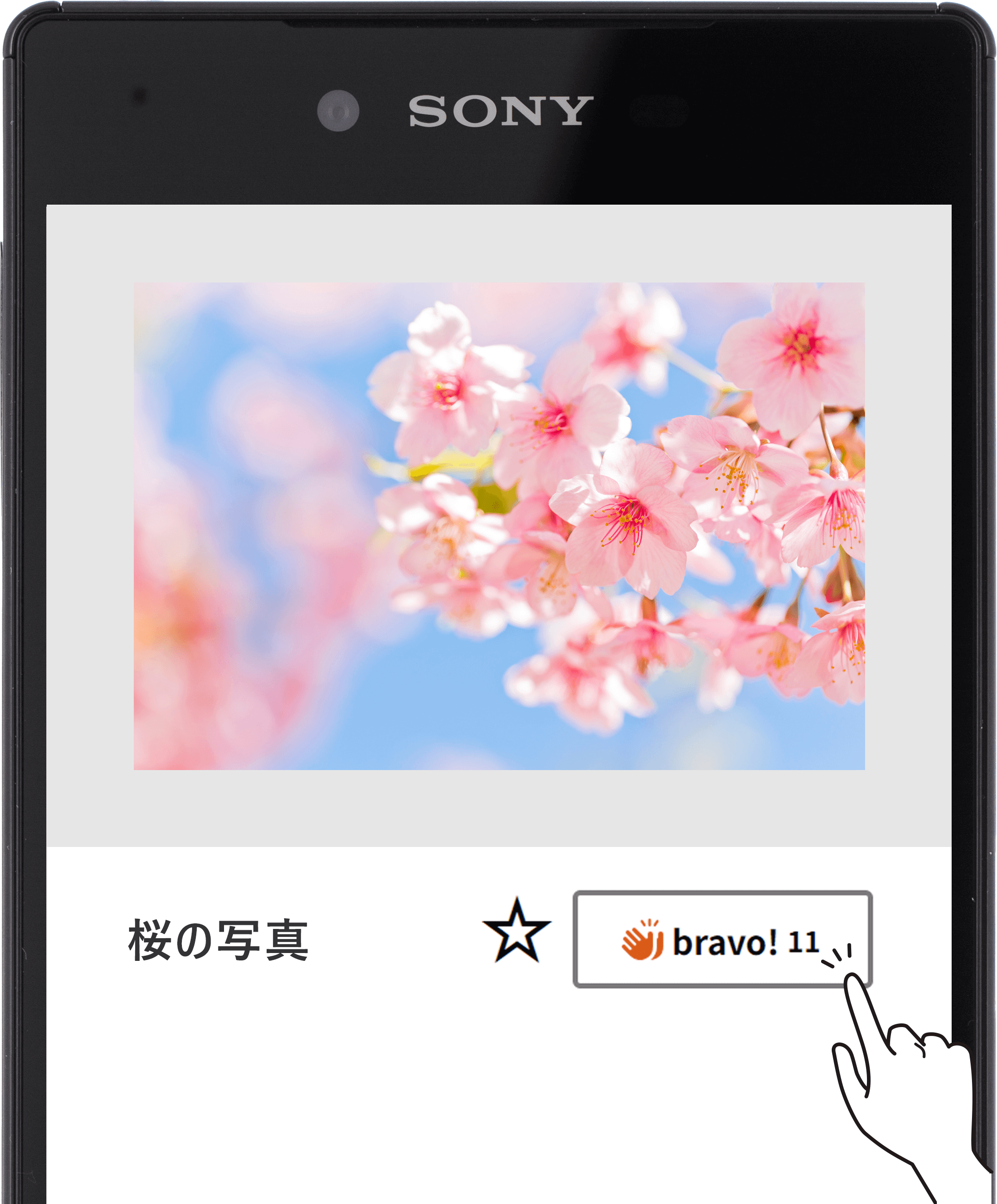 タグ設定にて、「桜」タグをつけて作品(写真・動画)を投稿する
