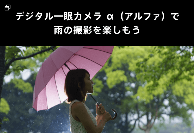 デジタル一眼カメラ α（アルファ）で雨の撮影の楽しみ方