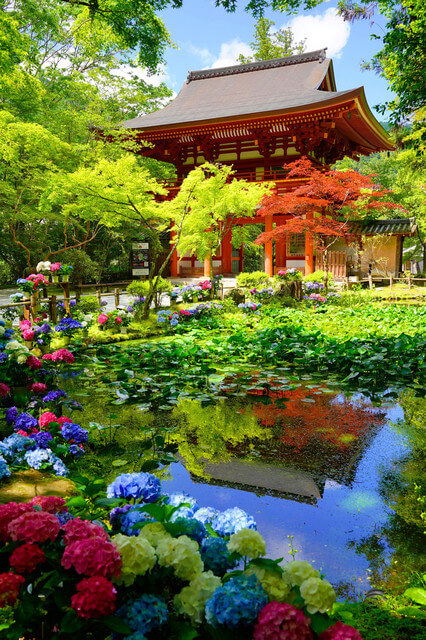 『初夏の室生寺』ヒロクンさん