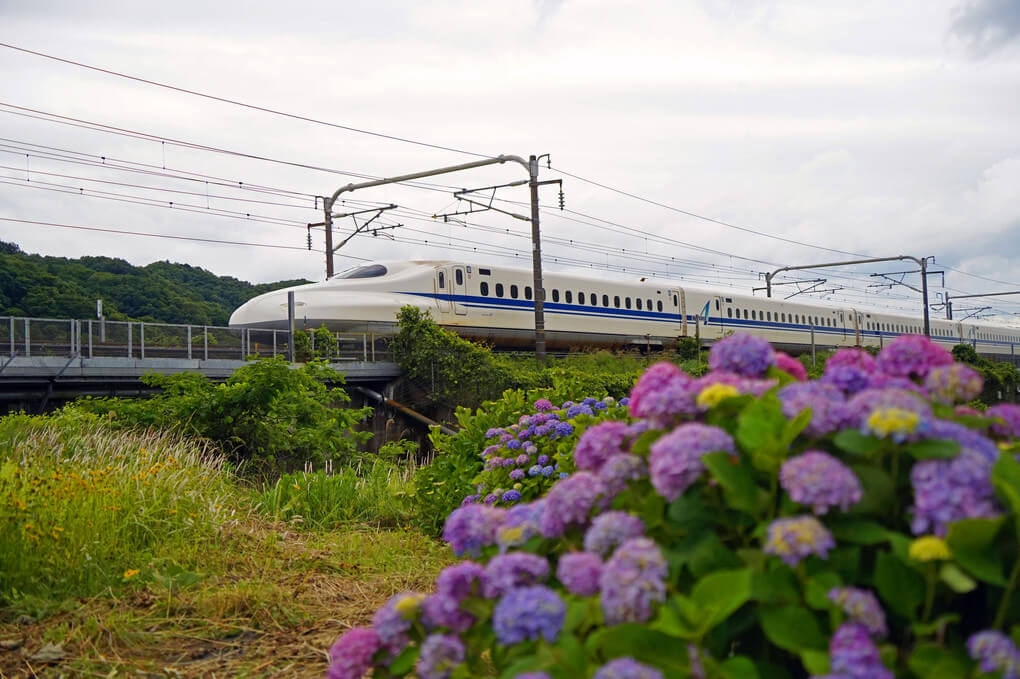 『紫陽花と白い車体』そよかぜさん