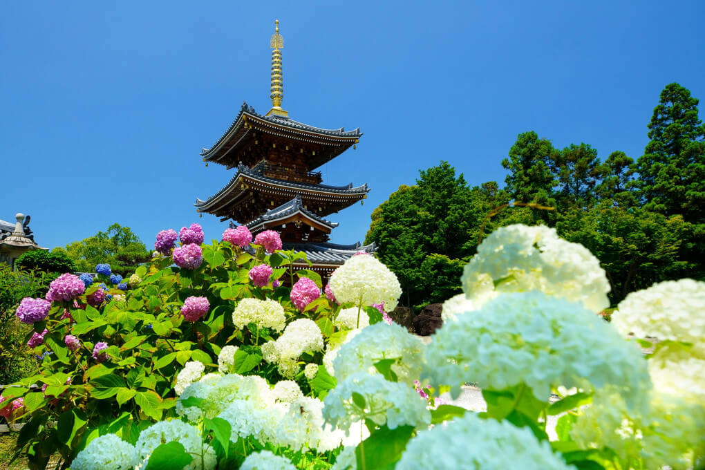 『心地よい初夏』jackさん