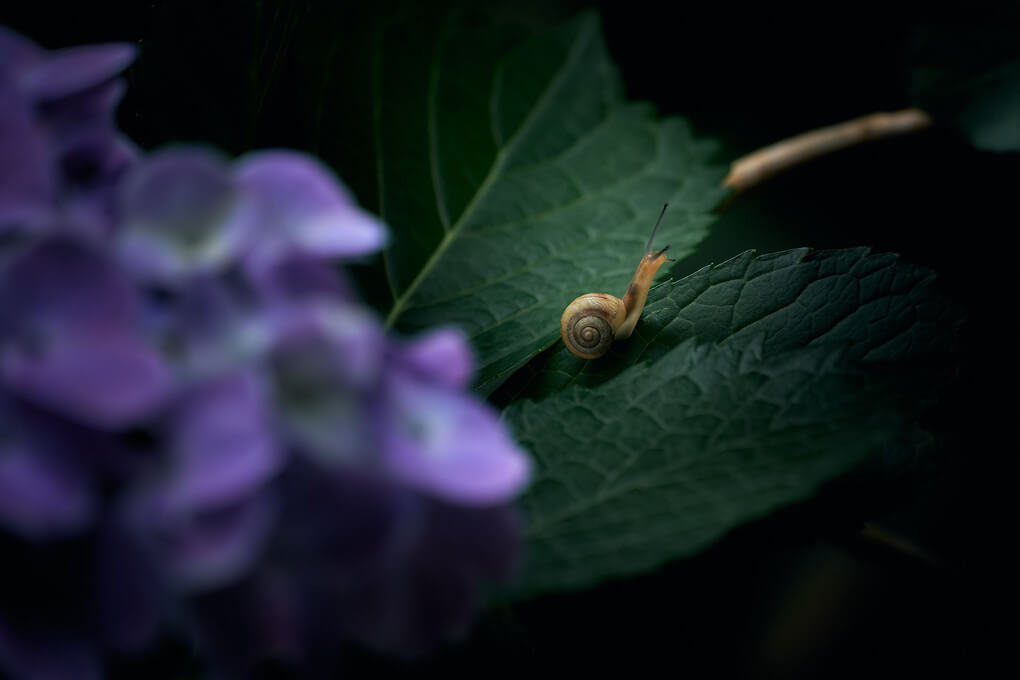 『あの橋を渡る時』Hiroさん