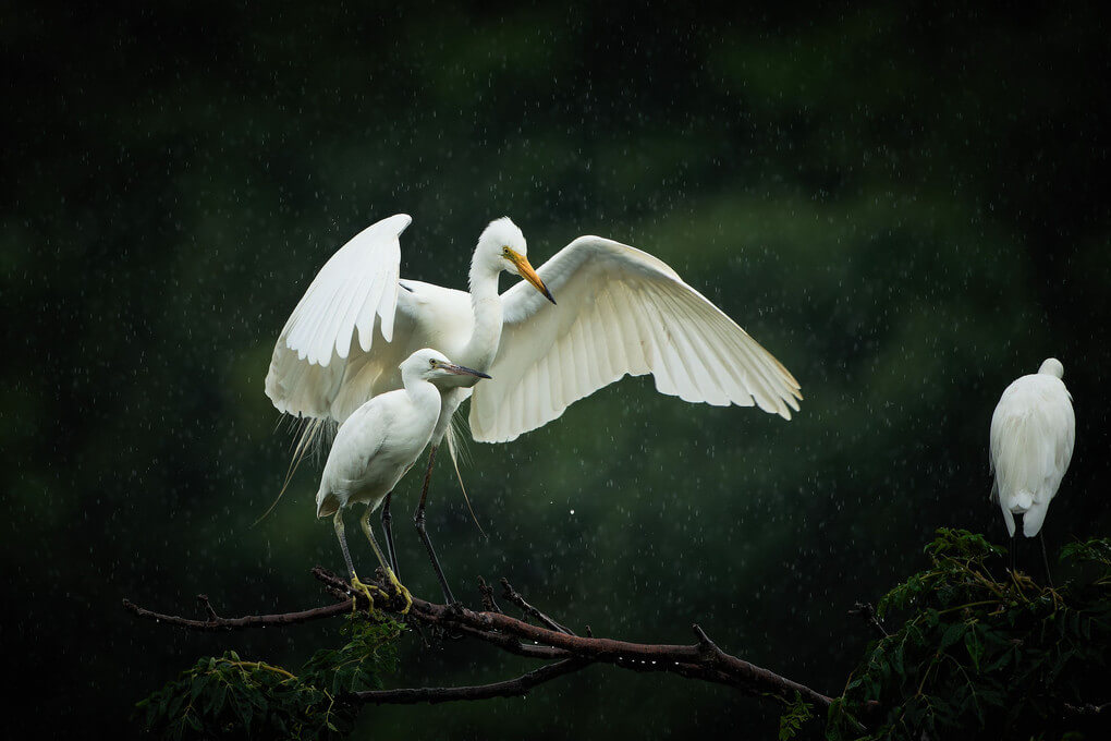 『傘下』Hiroさん