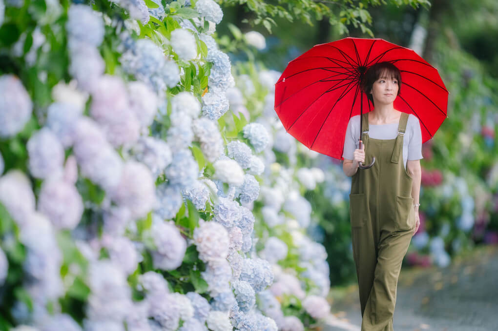 『紫陽花の小路』mukkuさん