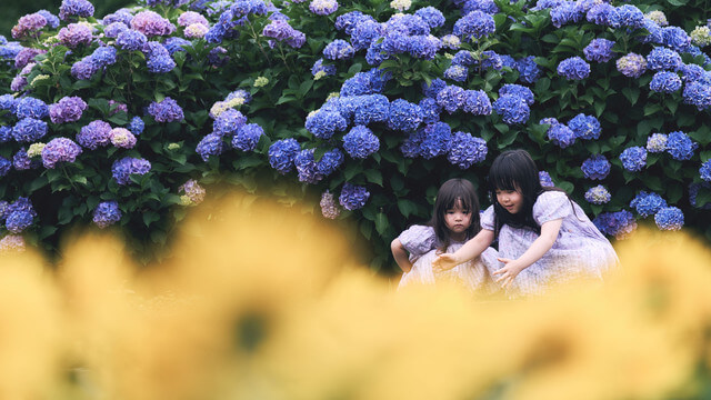 『夏の予感を掬う』ナミハさん