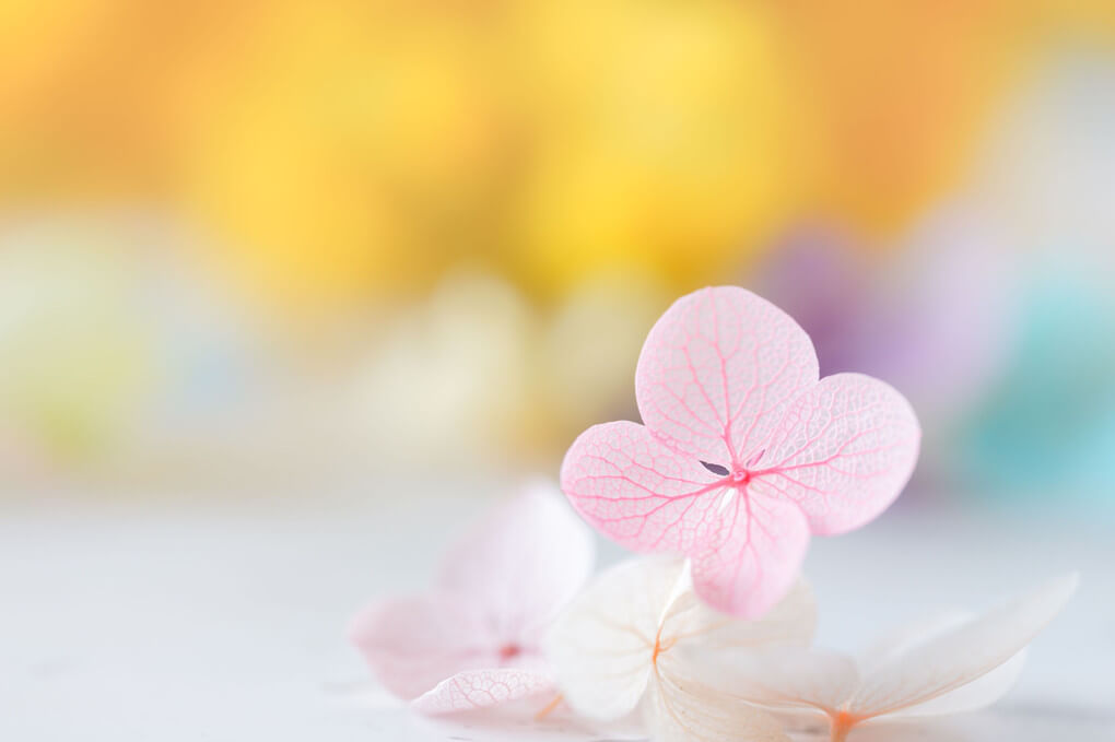 『Fluffy』Lirioさん