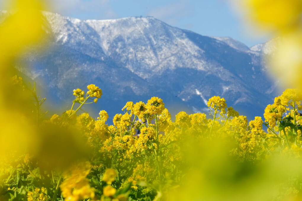 『冬から春へ』華写さん