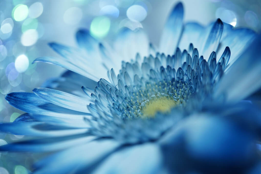 『吸い込まれる青』おこめさん