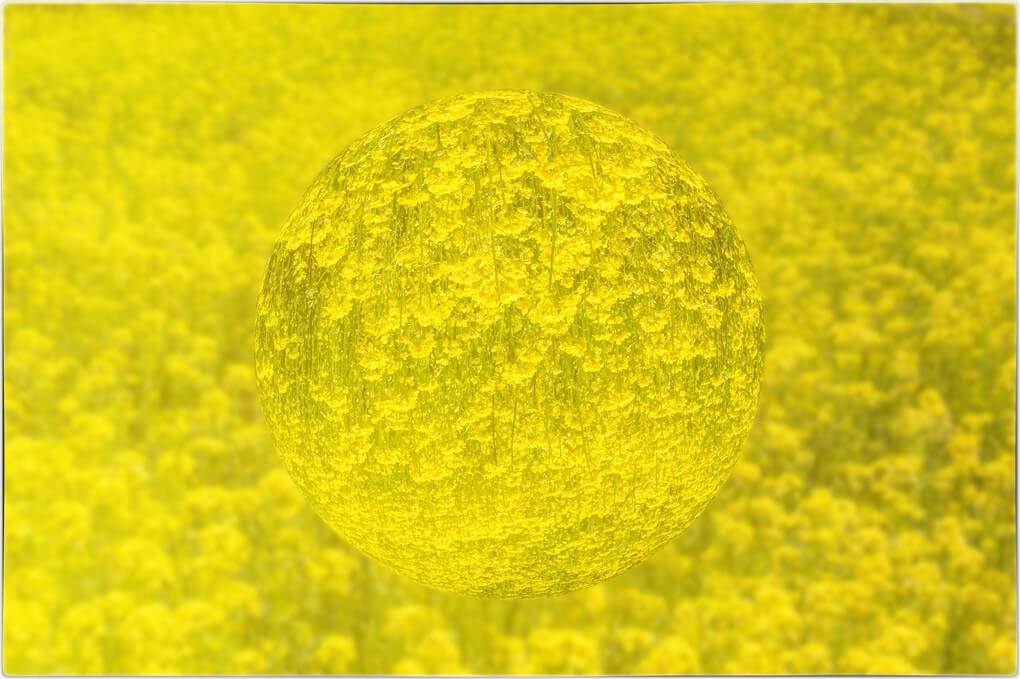 『きいろ』sonyjanoさん