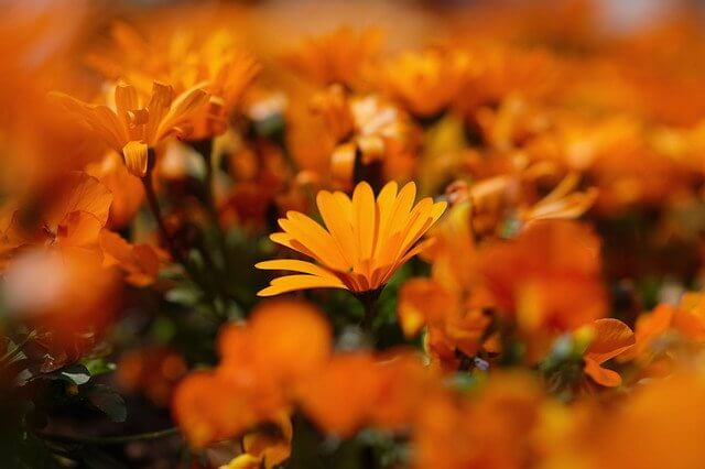 『元気』quattroさん