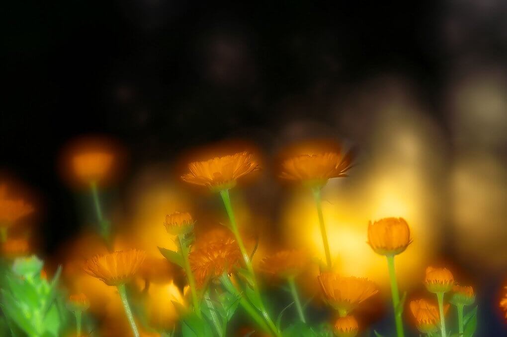 『朝陽に塗り潰される』sandancepopさん