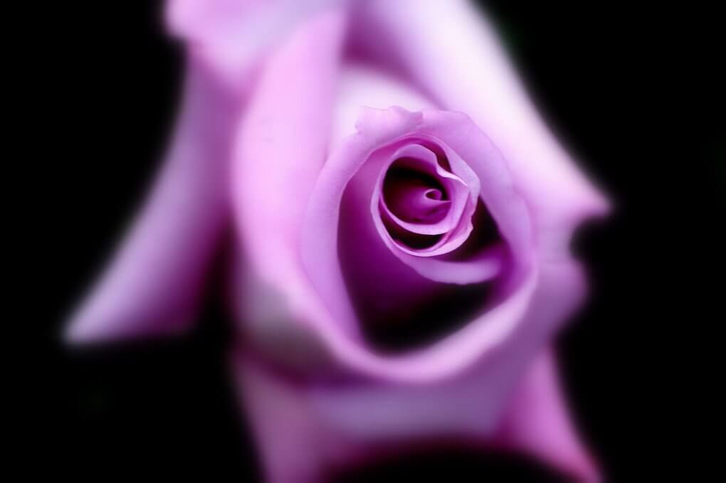 『エレガント』華写さん