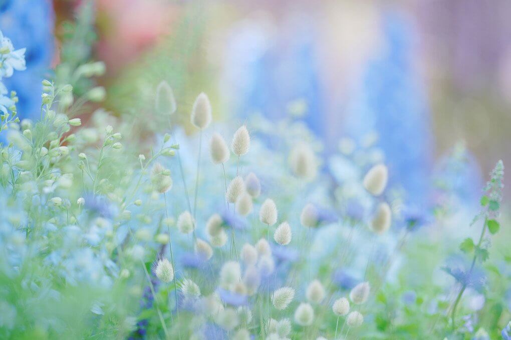 『久しぶりの景色』ゆかりんさん