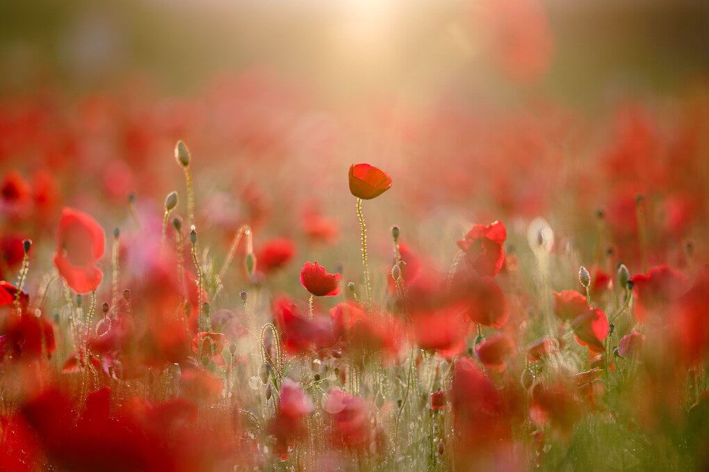 『ひかるキミへ』YOUさん