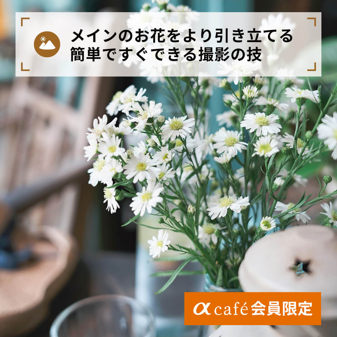 メインのお花をより引き立てる
簡単ですぐできる撮影の技（限定)
