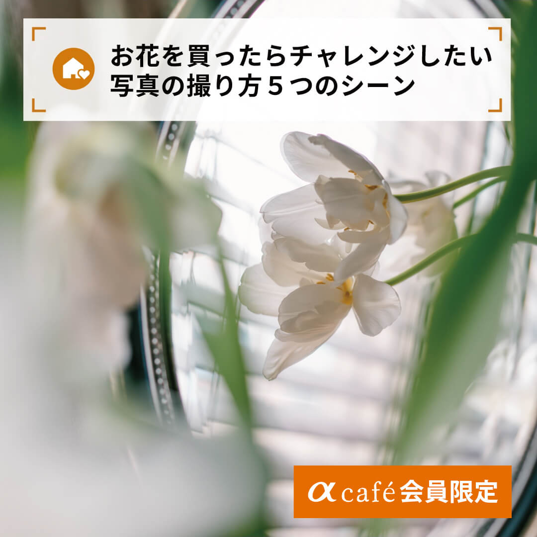 お花を買ったらチャレンジしたい
写真の撮り方５つのシーン(限定)
