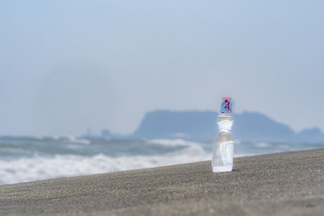 『夏のお供』yuuriさん