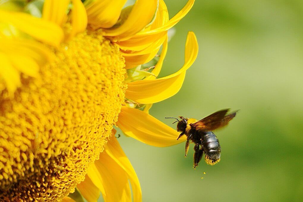 『夏がこぼれてるよ』そらぱぱさん