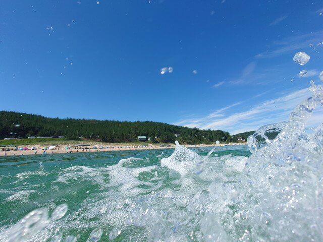 『夏だ!海だ!海水浴だ!』マサムネさん
