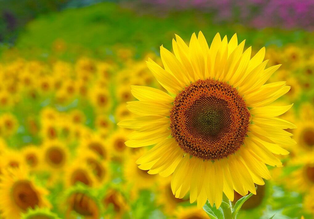 『みんなついてきて』M melonさん