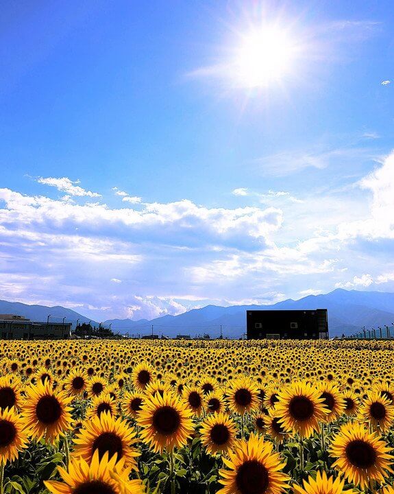 『暑かった夏』memories4103さん