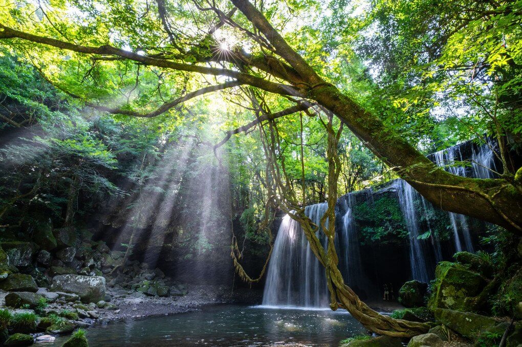 『涼光』ひろさん