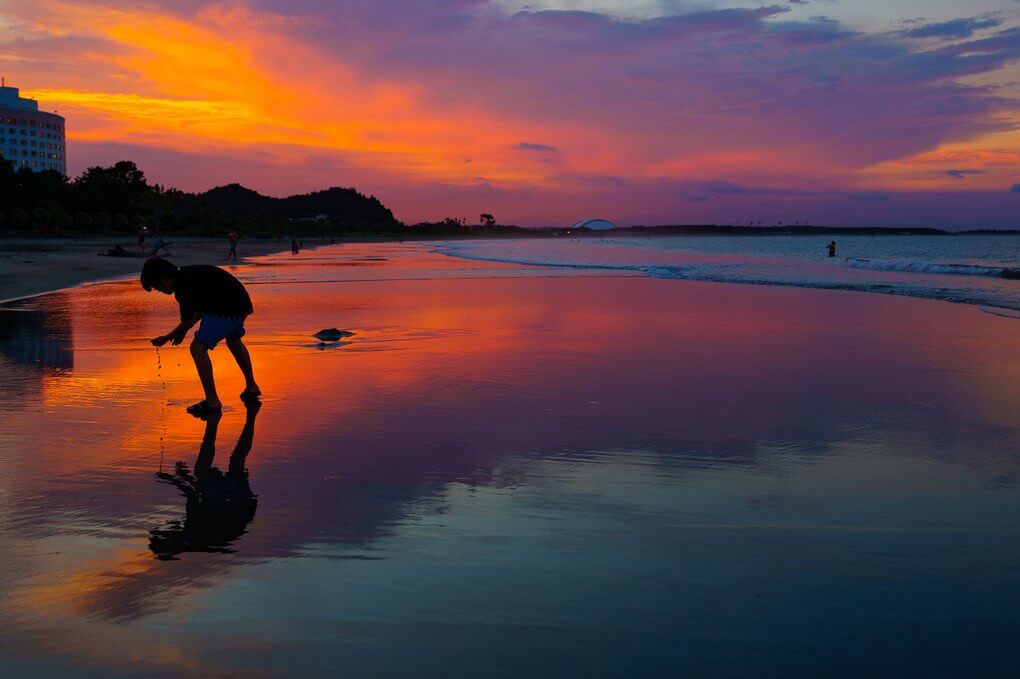 『夕暮れの海で見つけた小さな世界』iroeriさん